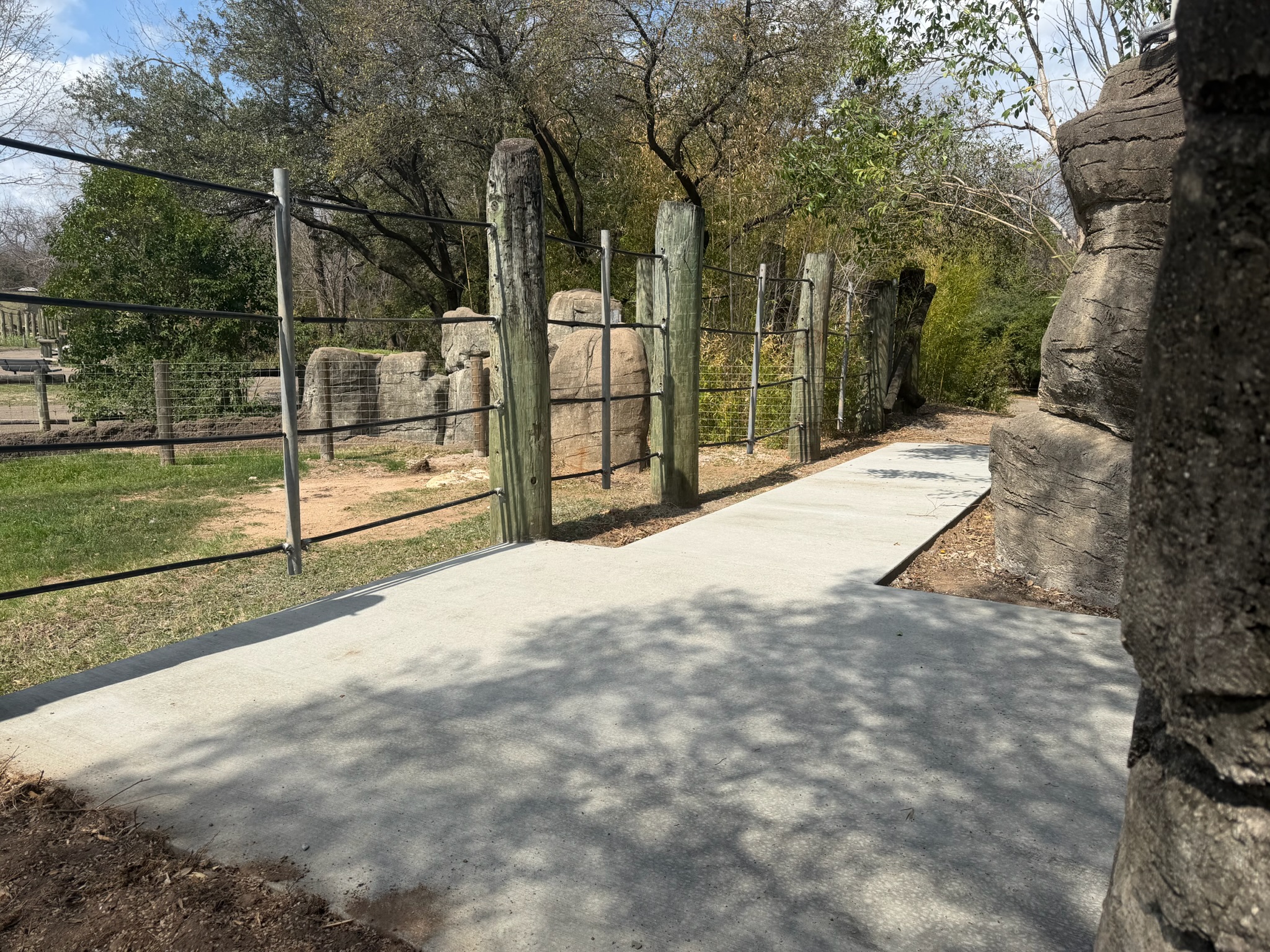 Fresh broom finished concrete path tied into the zoo walkway area